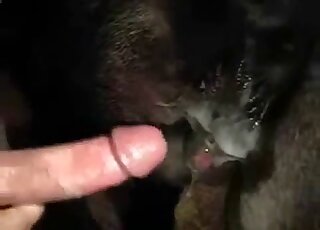 Licking